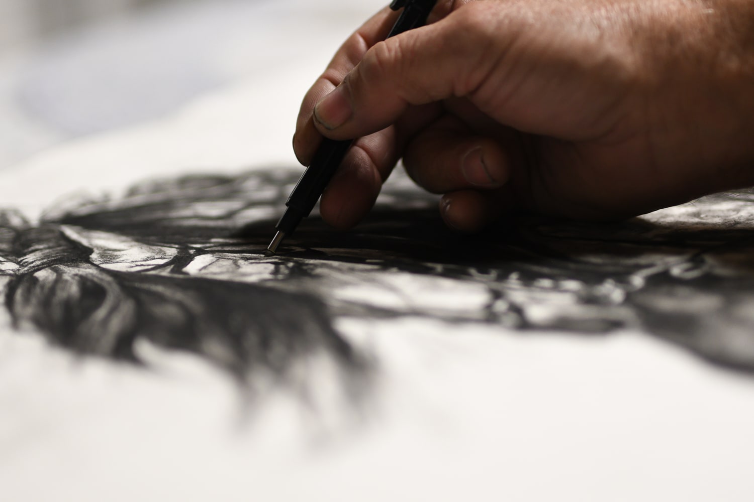 41 artiste dessinateur