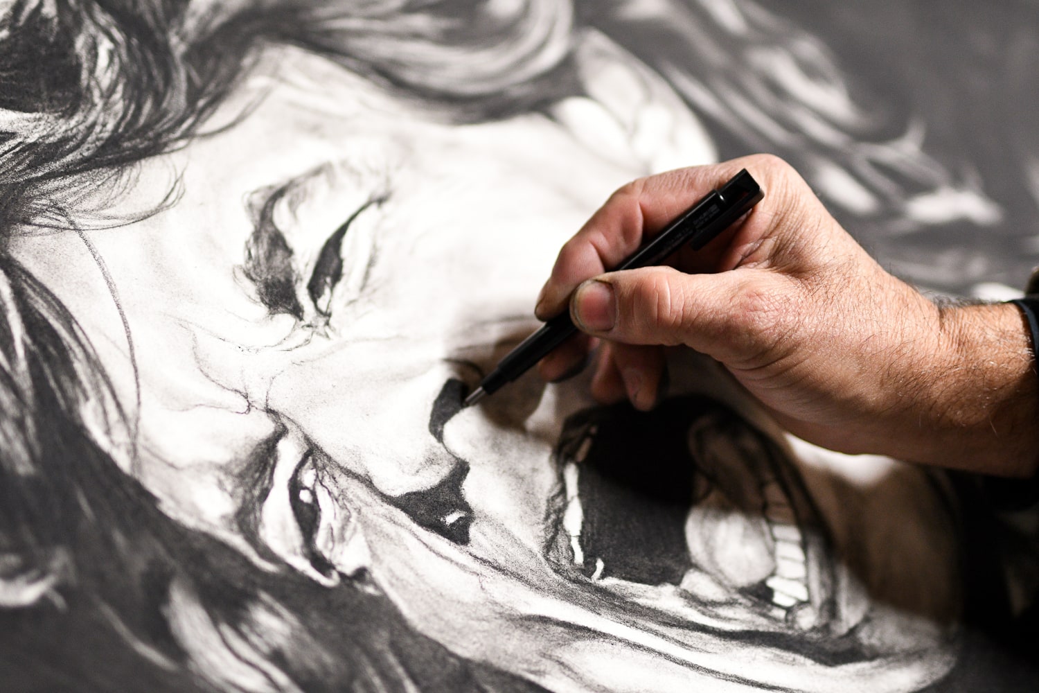 43 artiste dessinateur